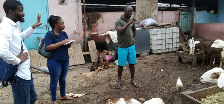 Ayawaso Central Municipal Assembly carries out  Diseases Monitoring and Surveillance of Animals in the Municipality.